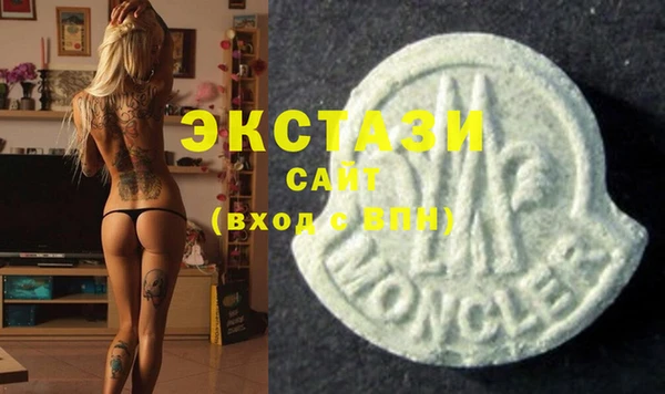 ECSTASY Богородицк